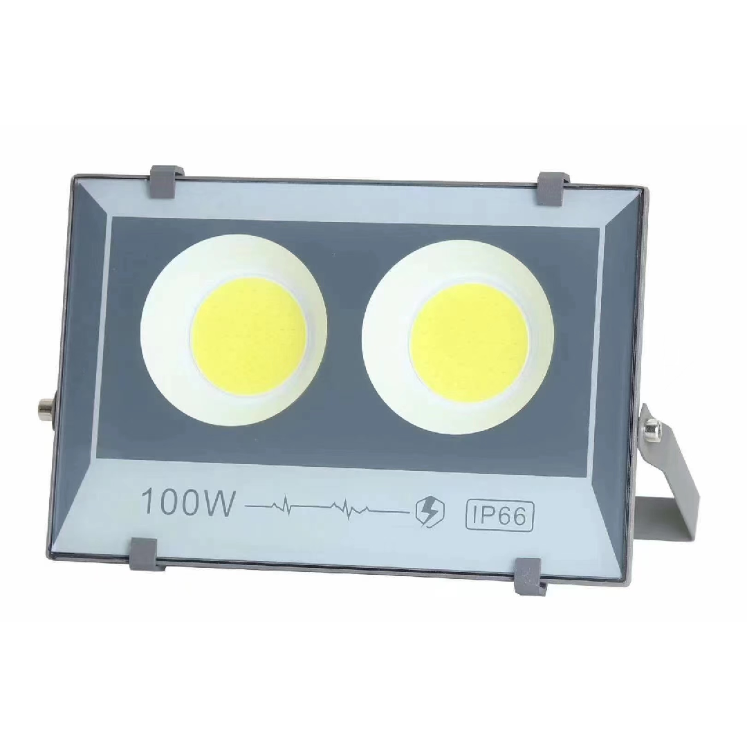 SU-TH05 100W  FLOODLIGHT